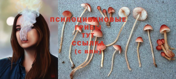 ешки Магас