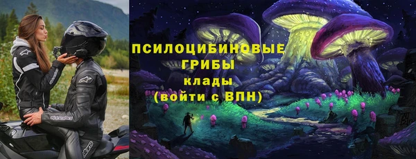 Альфа ПВП Липки